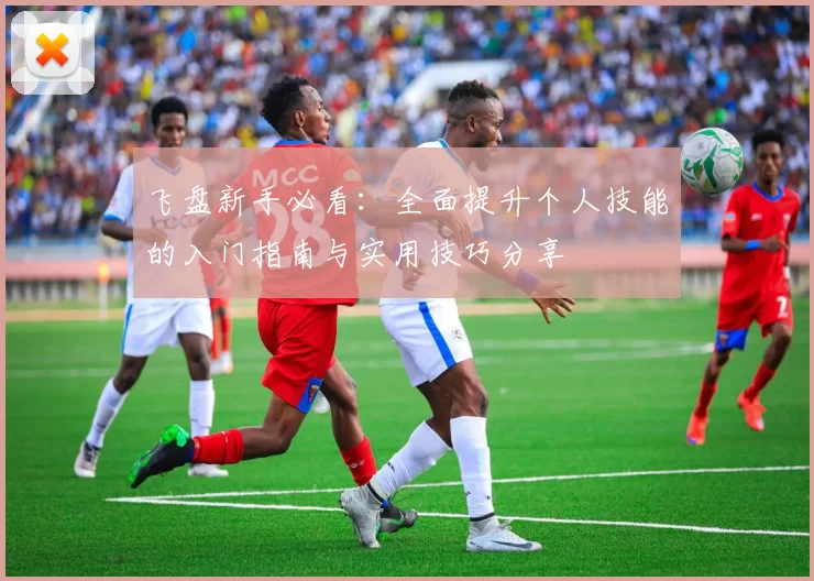 飞盘新手必看：全面提升个人技能的入门指南与实用技巧分享
