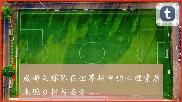 成都足球队在世界杯中的心理素质表现分析与启示