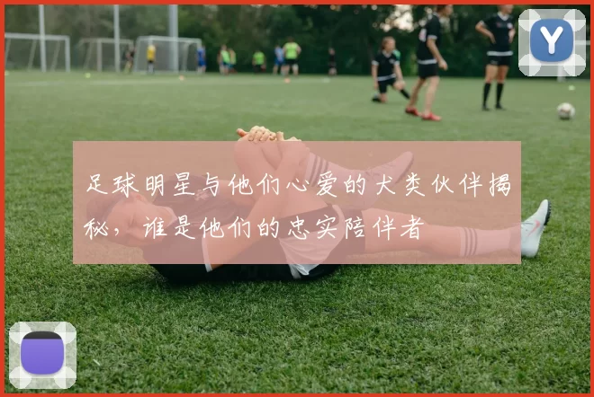 足球明星与他们心爱的犬类伙伴揭秘，谁是他们的忠实陪伴者