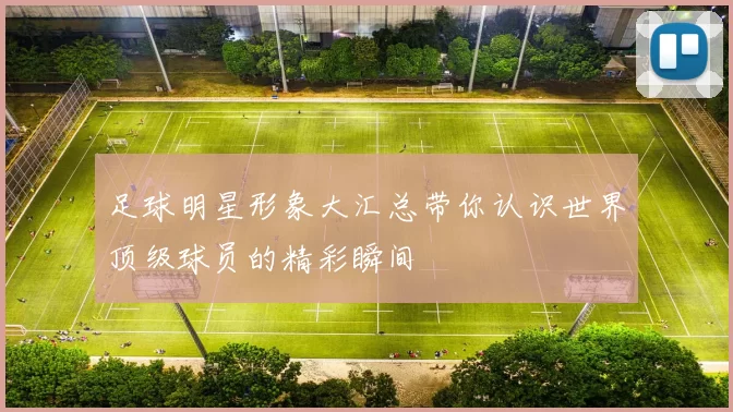 足球明星形象大汇总带你认识世界顶级球员的精彩瞬间