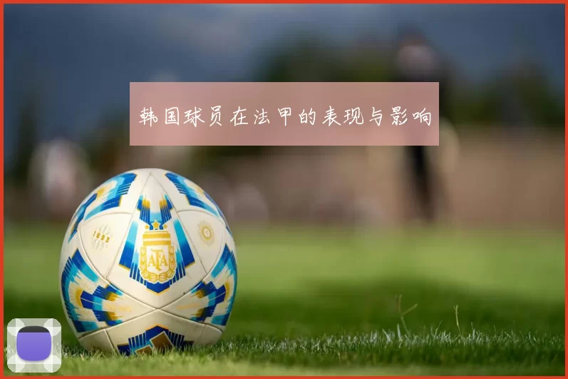 韩国球员在法甲的表现与影响