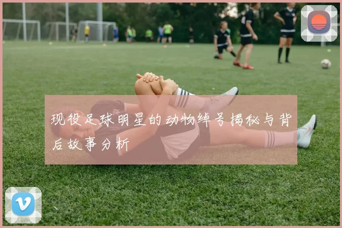 现役足球明星的动物绰号揭秘与背后故事分析
