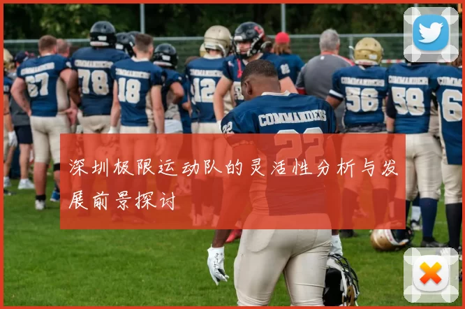 深圳极限运动队的灵活性分析与发展前景探讨