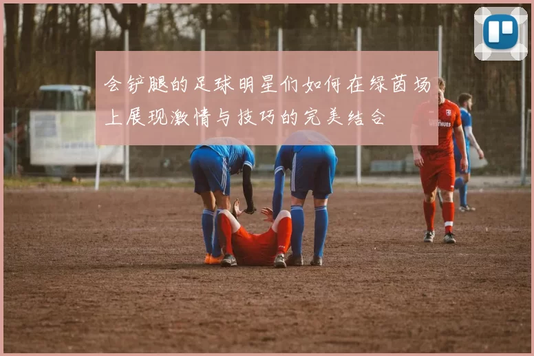 会铲腿的足球明星们如何在绿茵场上展现激情与技巧的完美结合