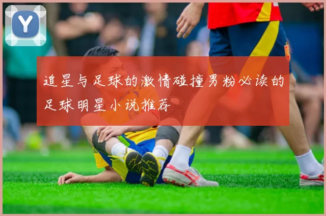 追星与足球的激情碰撞男粉必读的足球明星小说推荐