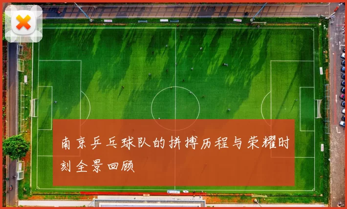 南京乒乓球队的拼搏历程与荣耀时刻全景回顾
