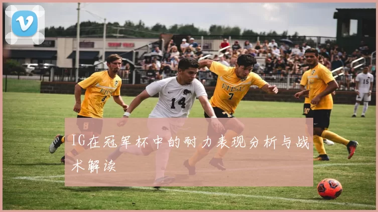 IG在冠军杯中的耐力表现分析与战术解读