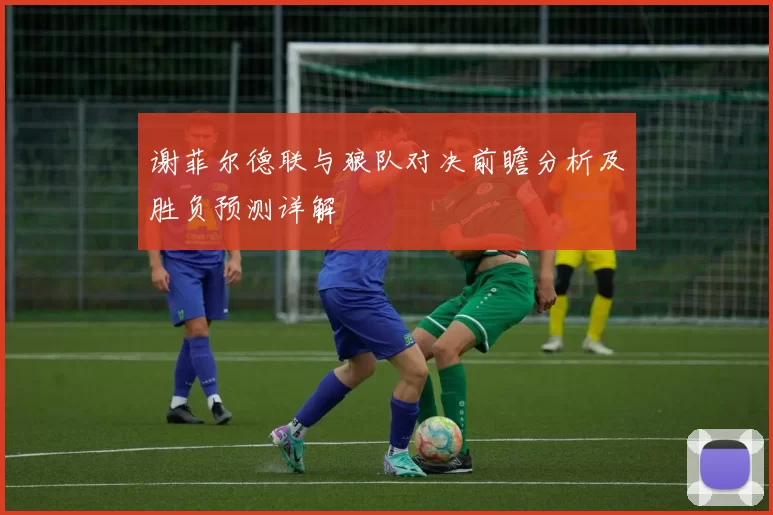 谢菲尔德联与狼队对决前瞻分析及胜负预测详解