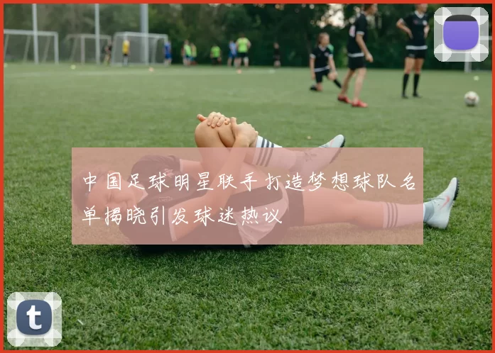 中国足球明星联手打造梦想球队名单揭晓引发球迷热议