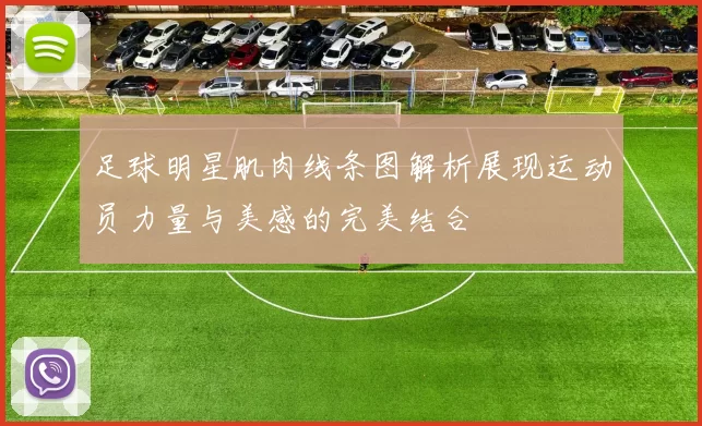 足球明星肌肉线条图解析展现运动员力量与美感的完美结合