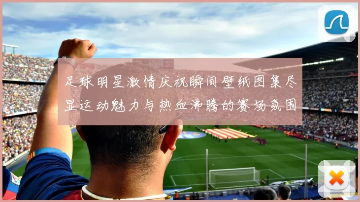 足球明星激情庆祝瞬间壁纸图集尽显运动魅力与热血沸腾的赛场氛围