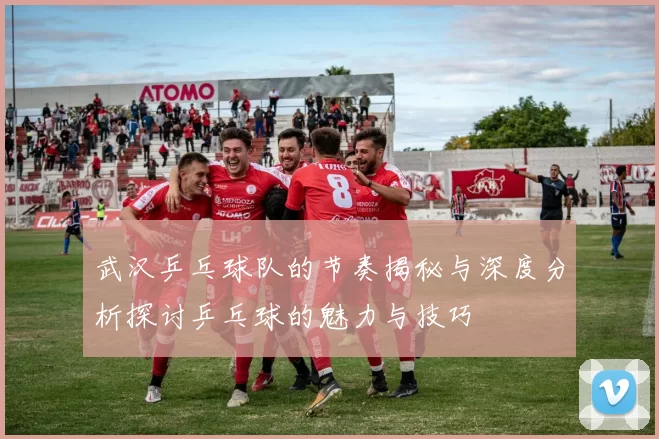 武汉乒乓球队的节奏揭秘与深度分析探讨乒乓球的魅力与技巧