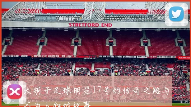 大胡子足球明星17号的传奇之路与不为人知的故事