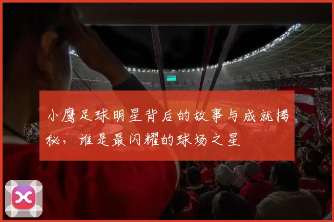 小鹰足球明星背后的故事与成就揭秘，谁是最闪耀的球场之星