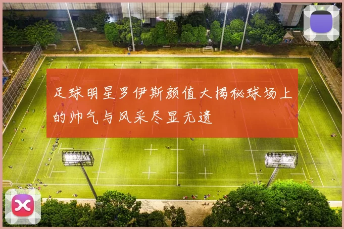 足球明星罗伊斯颜值大揭秘球场上的帅气与风采尽显无遗